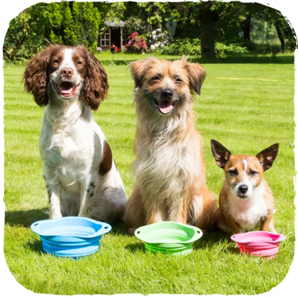 Beco Travel Bowl