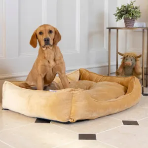 Best Selling Velvet Pet  Bed - Mustard