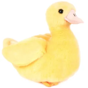 Dani the Duckling