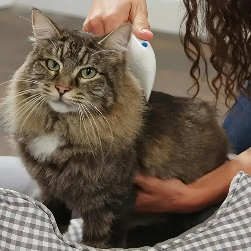 Electric Flea Comb for Cats and Dogs