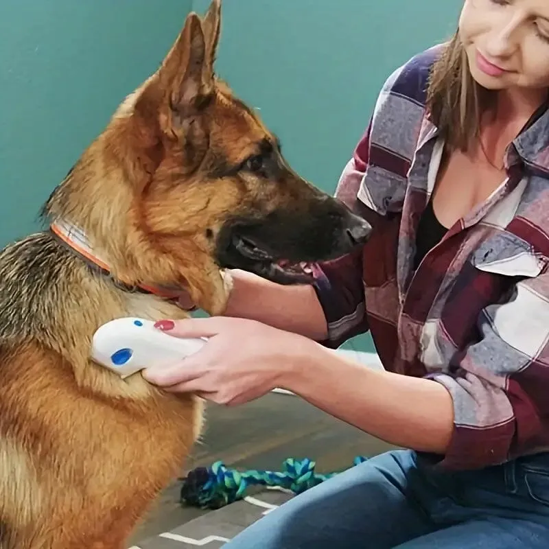 Electric Flea Comb for Cats and Dogs