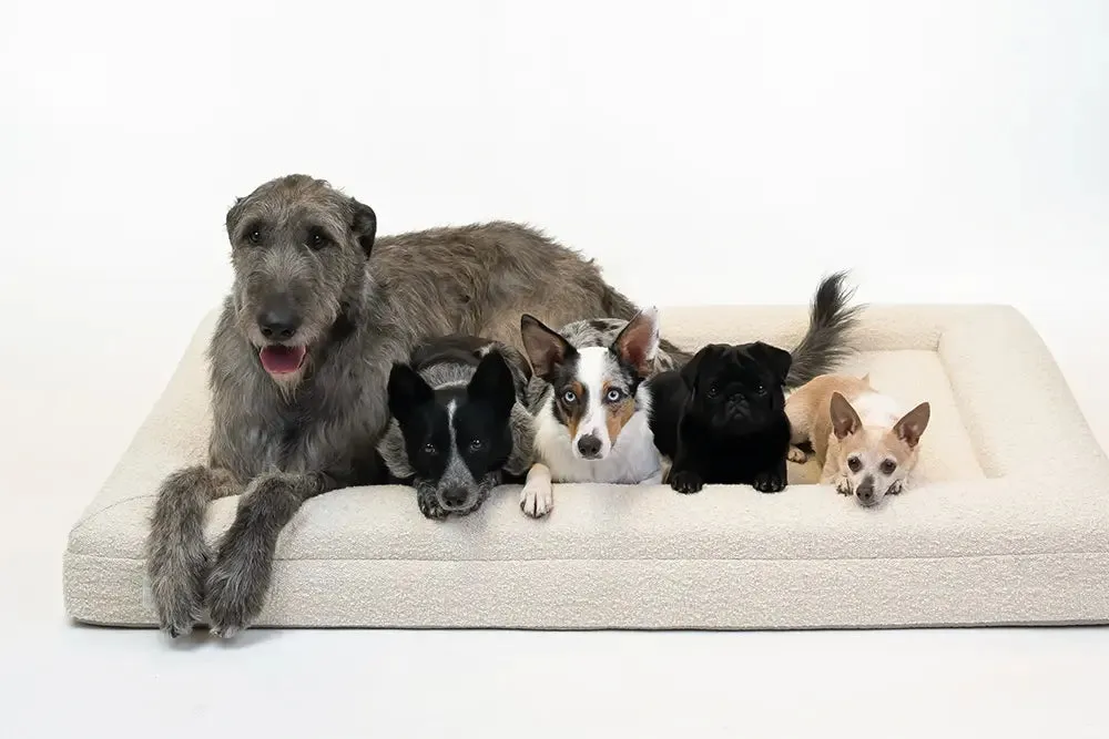 Extra Large Luxury Bouclé Orthopedic Bluewater Dog Bed (Cloud)