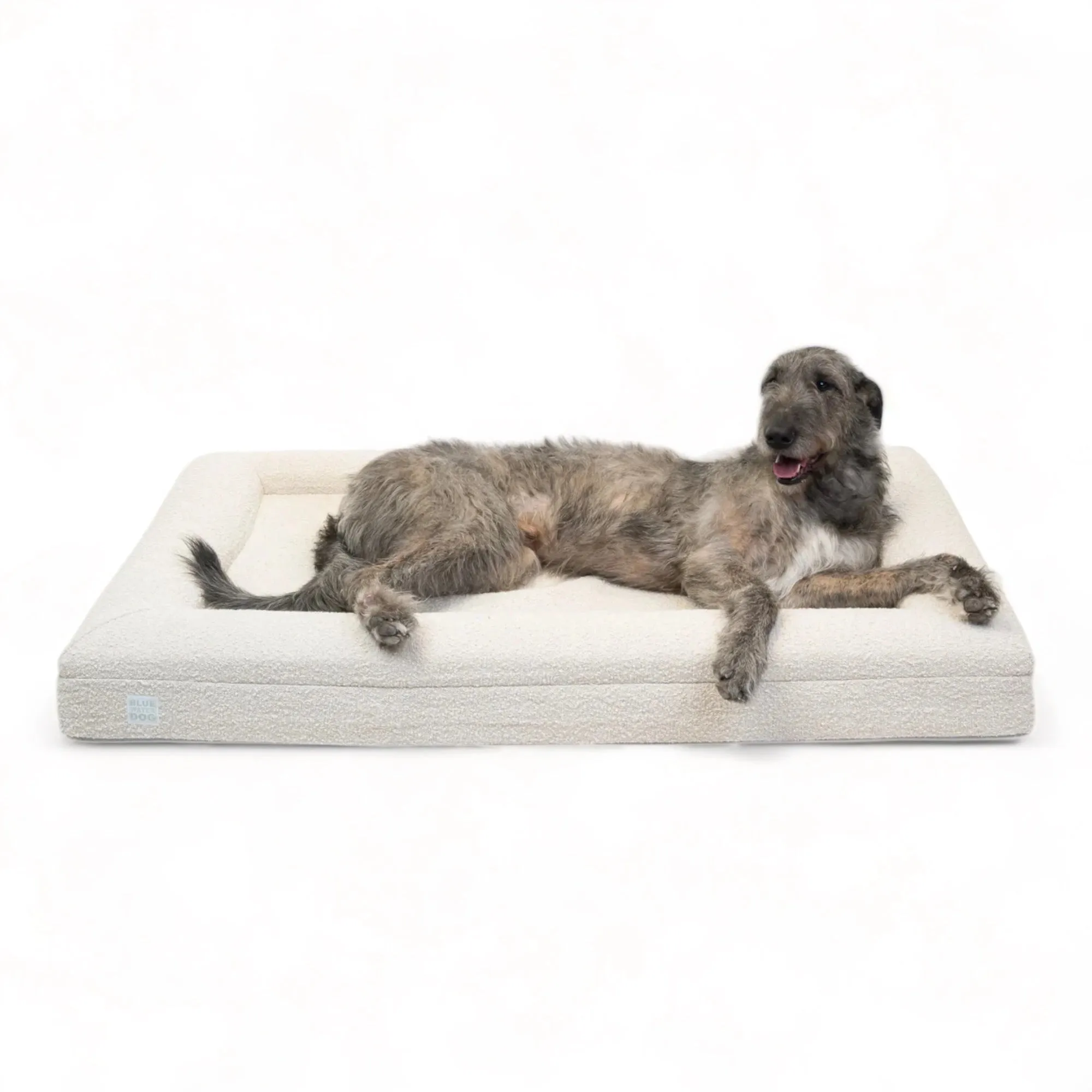 Extra Large Luxury Bouclé Orthopedic Bluewater Dog Bed (Cloud)