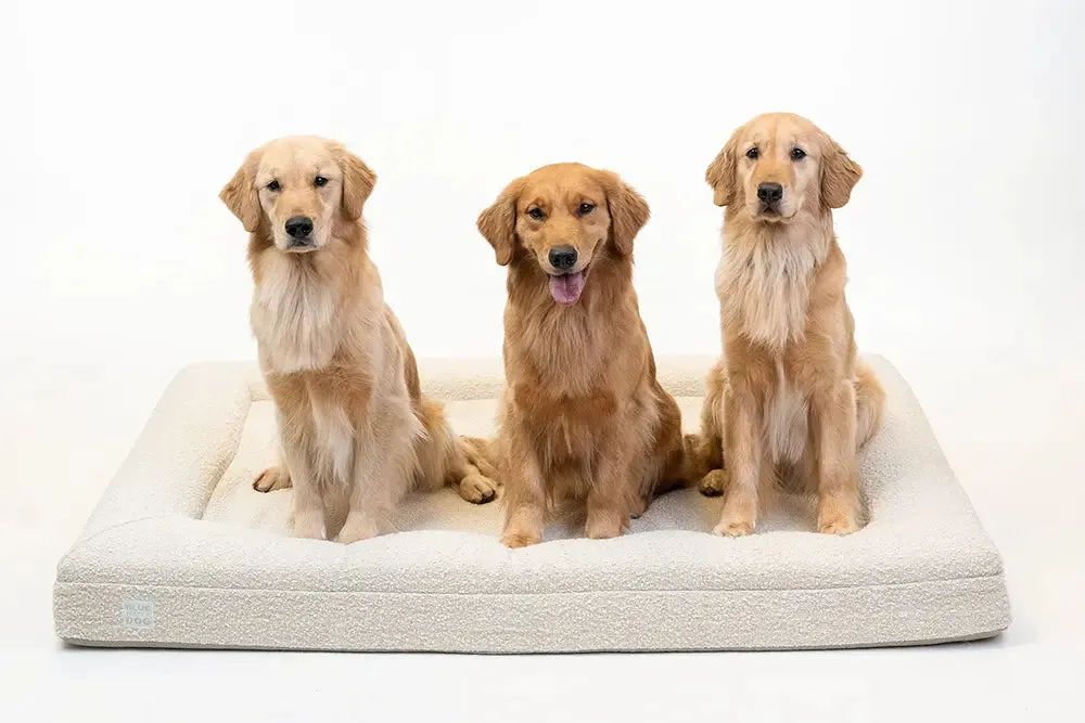 Extra Large Luxury Bouclé Orthopedic Bluewater Dog Bed (Cloud)