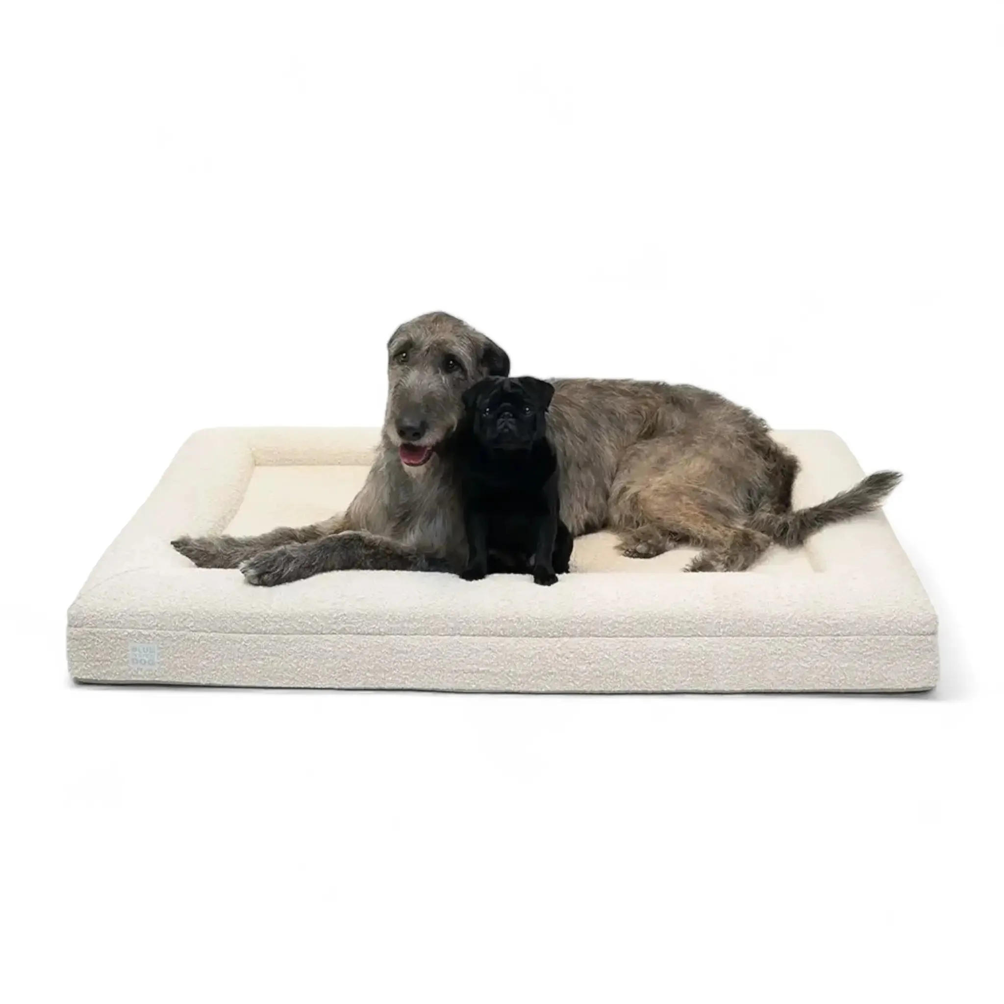Extra Large Luxury Bouclé Orthopedic Bluewater Dog Bed (Cloud)