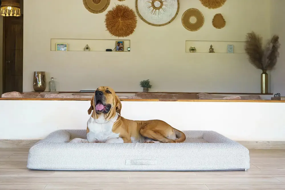 Extra Large Luxury Bouclé Orthopedic Bluewater Dog Bed (Cloud)