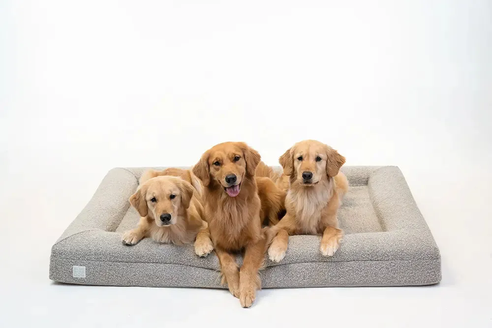 Extra Large Luxury Bouclé Orthopedic Bluewater Dog Bed (Sand)
