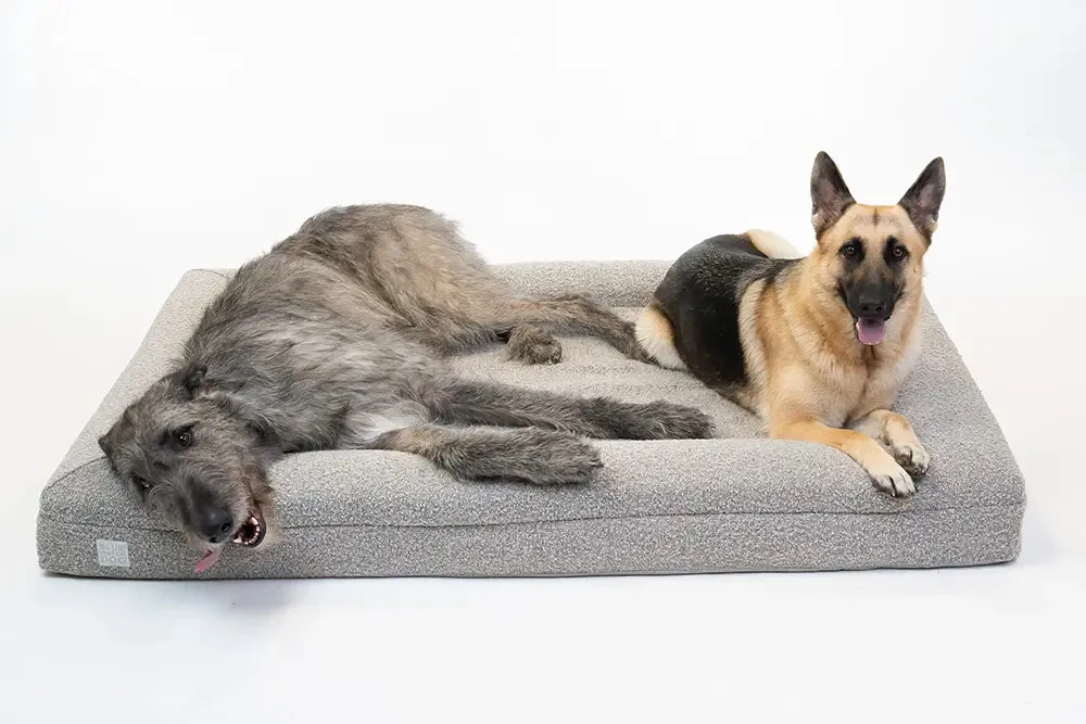 Extra Large Luxury Bouclé Orthopedic Bluewater Dog Bed (Sand)