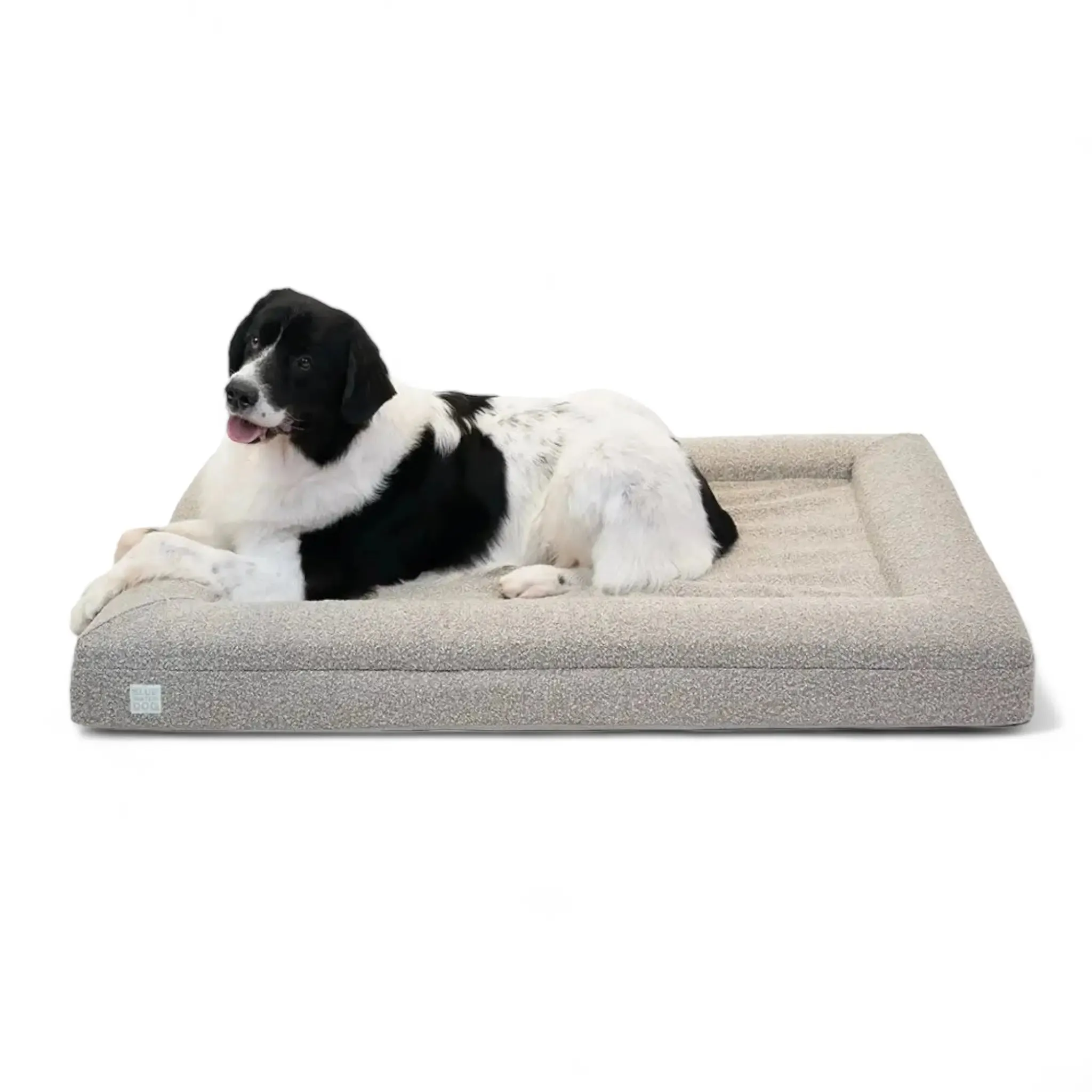 Extra Large Luxury Bouclé Orthopedic Bluewater Dog Bed (Sand)