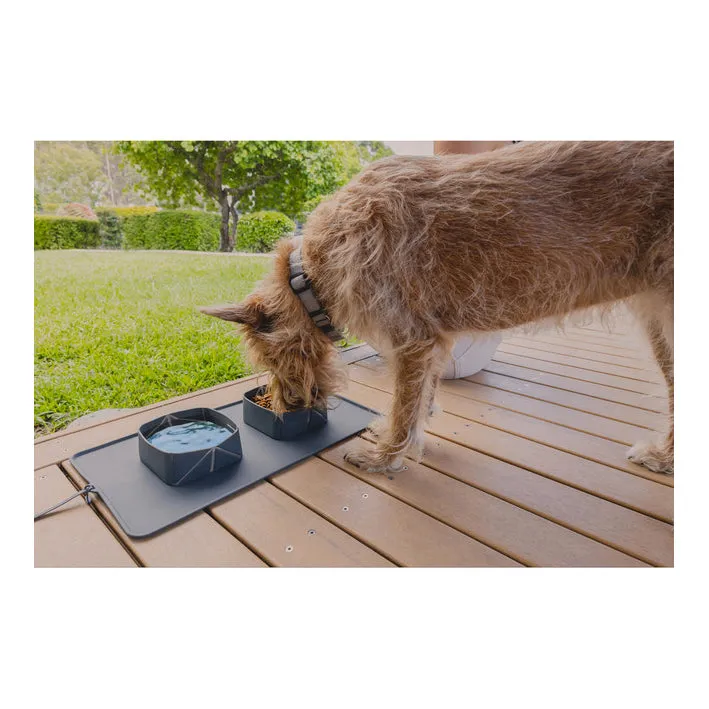 EzyDog Roll-A-Bowl