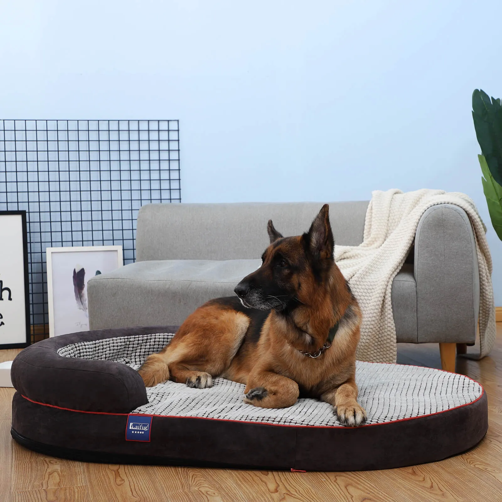 Laifug Oval Dog Bed
