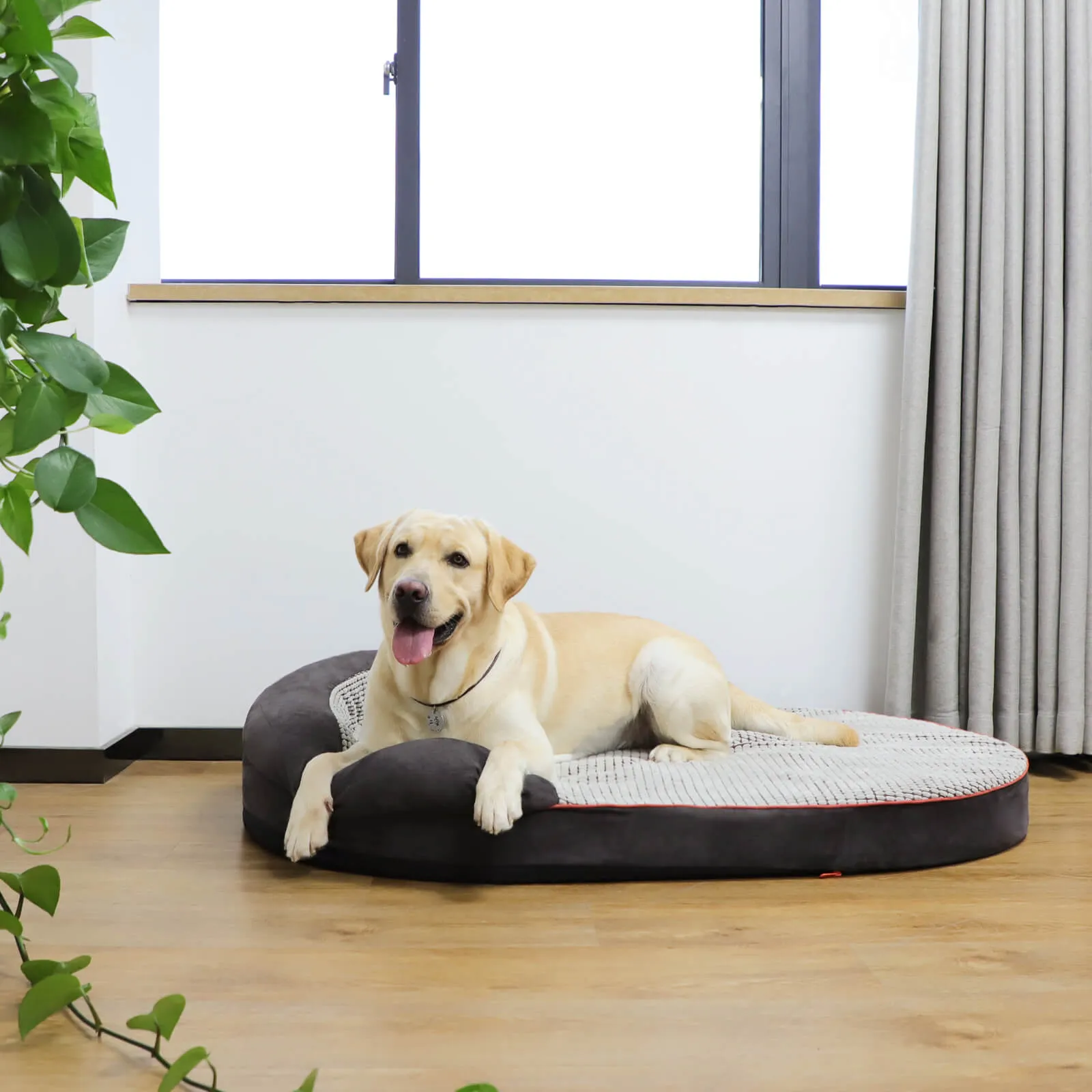 Laifug Oval Dog Bed