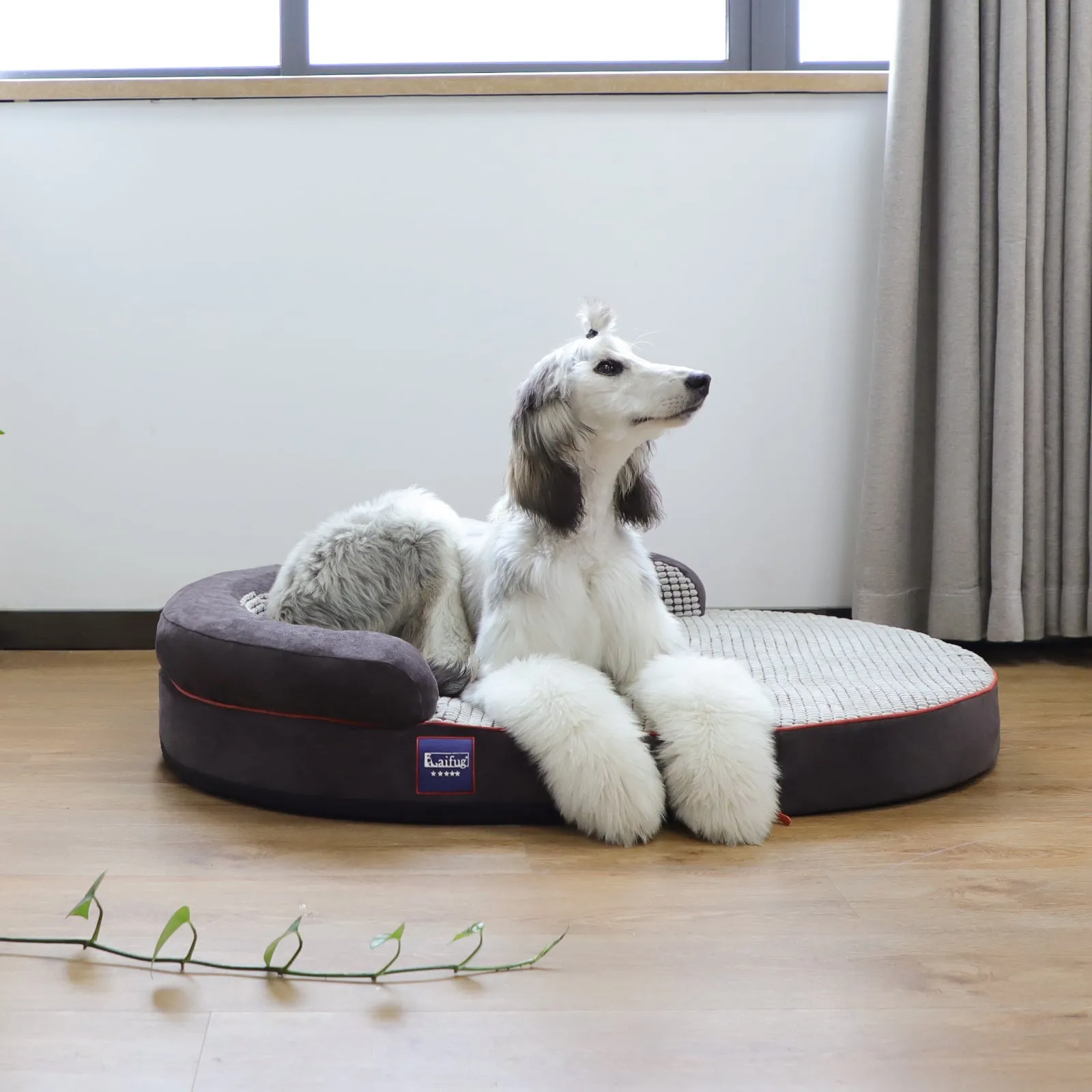 Laifug Oval Dog Bed