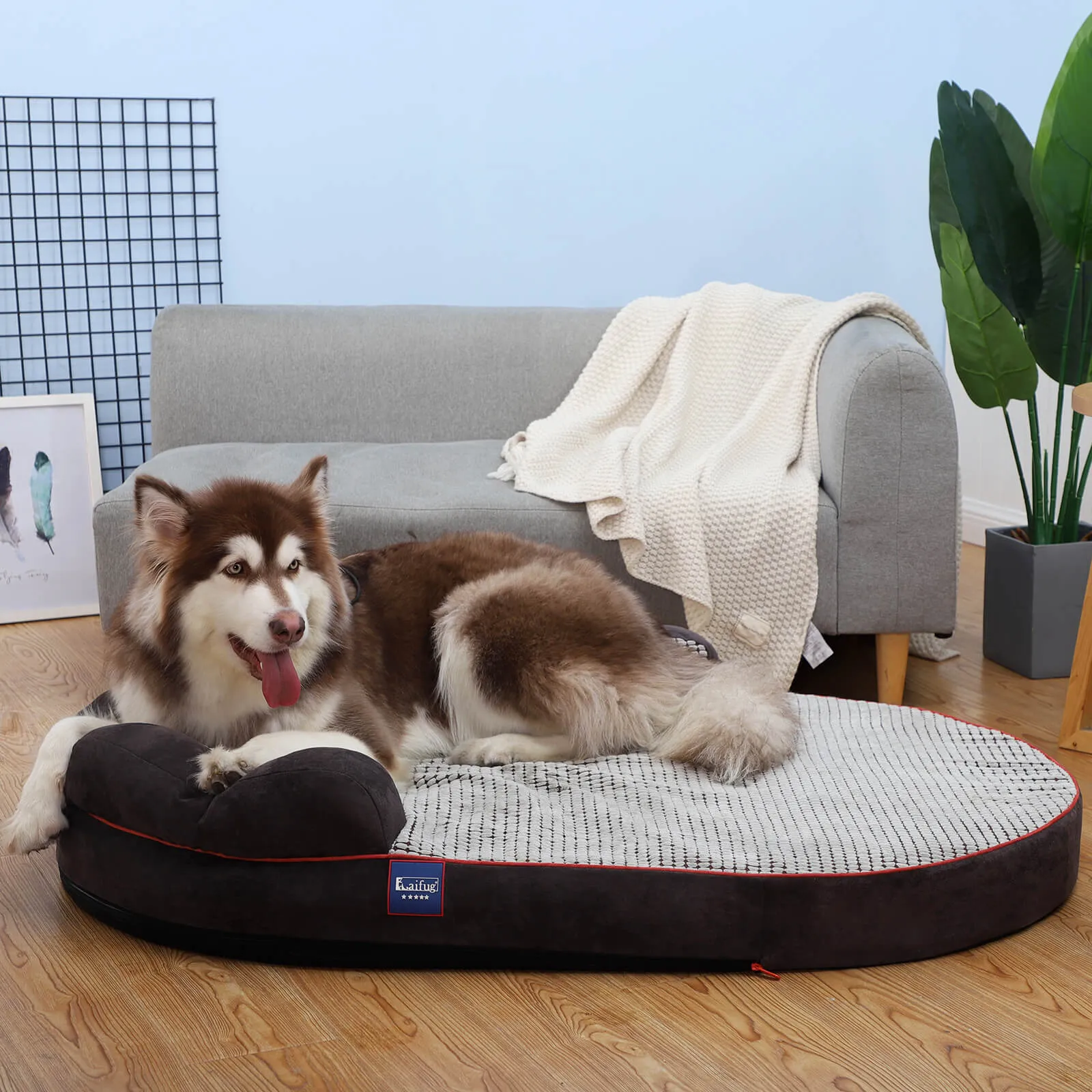 Laifug Oval Dog Bed