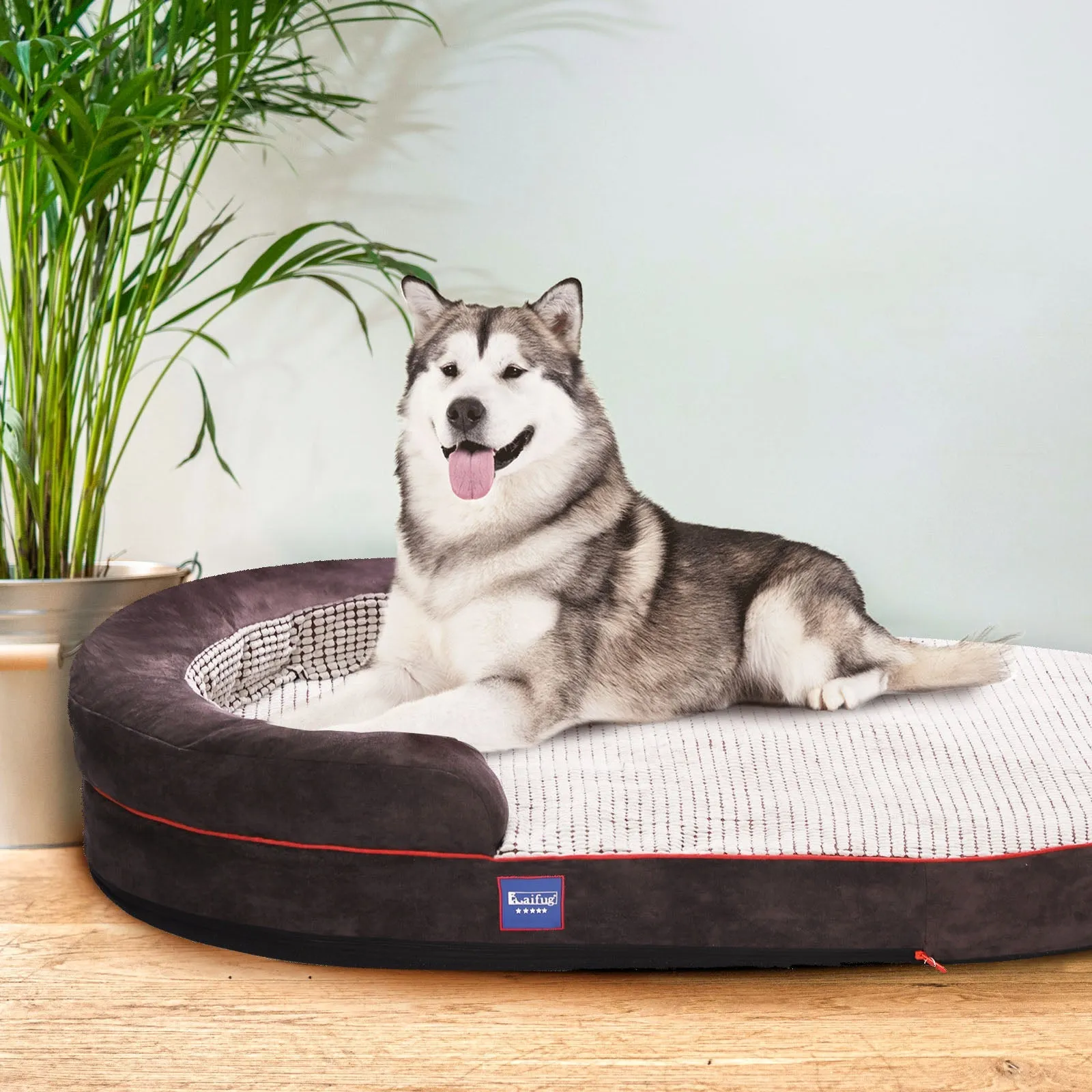 Laifug Oval Dog Bed