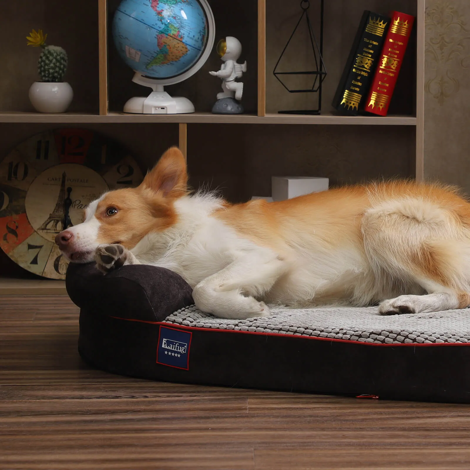 Laifug Oval Dog Bed