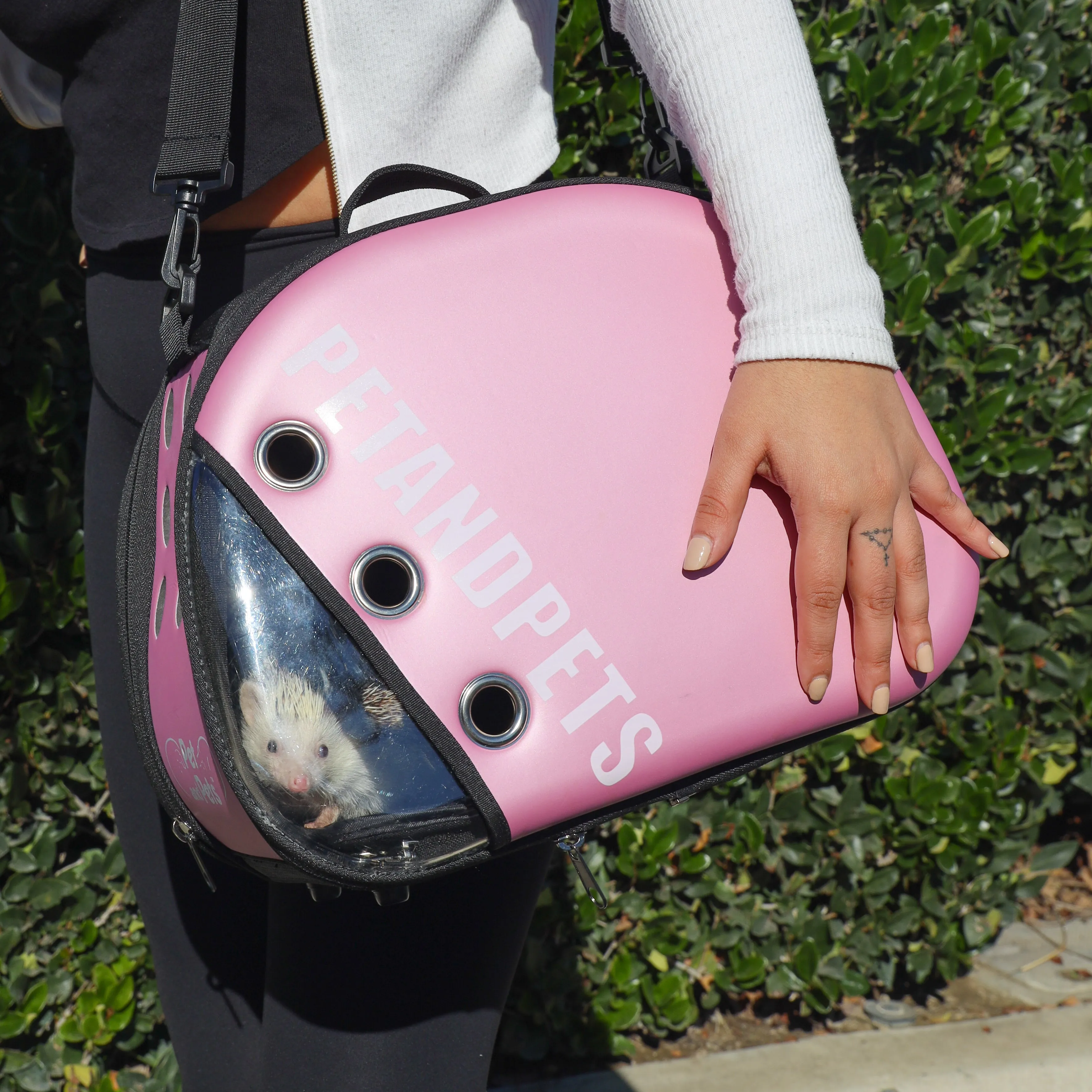 Macaron Pet Carrier: Optimal Airflow, Quality Mesh Windows, Peek-a-Boo Window, Collapsible, Adjustable Strap, Supports 25 LB