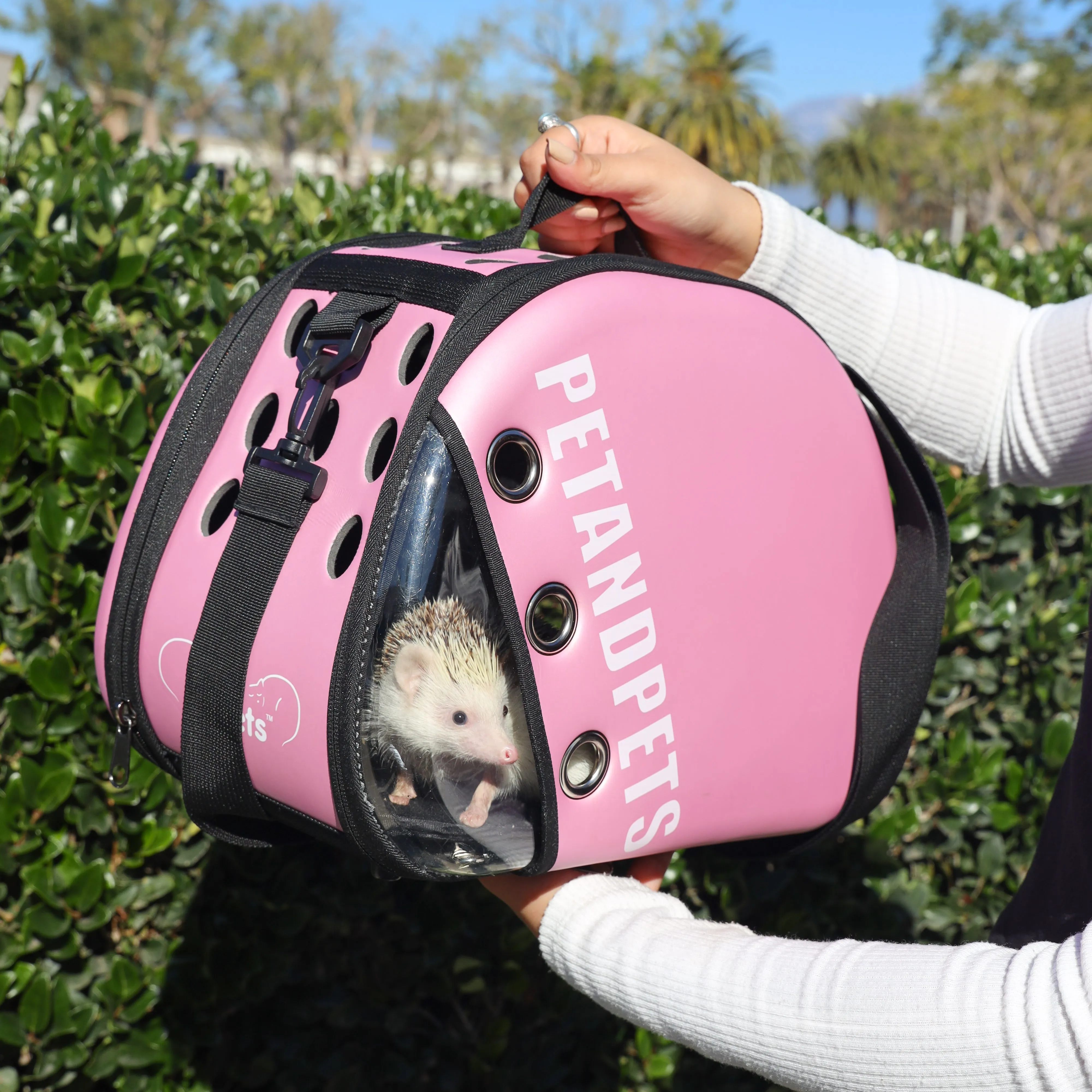 Macaron Pet Carrier: Optimal Airflow, Quality Mesh Windows, Peek-a-Boo Window, Collapsible, Adjustable Strap, Supports 25 LB