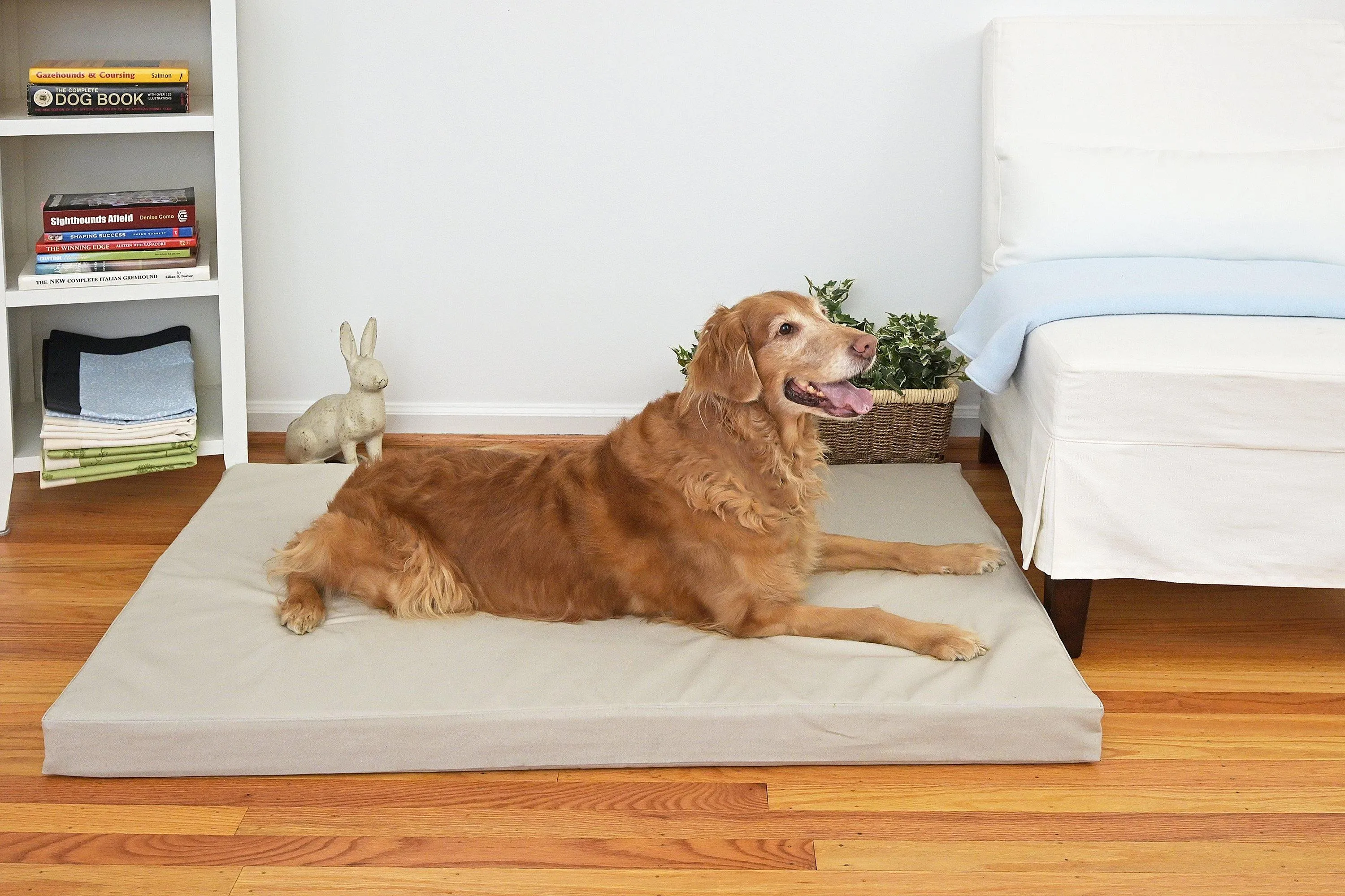 Organic Cotton Dog BED Cover, Stone Canvas