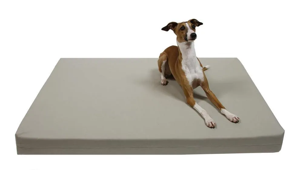 Organic Cotton Dog BED Cover, Stone Canvas