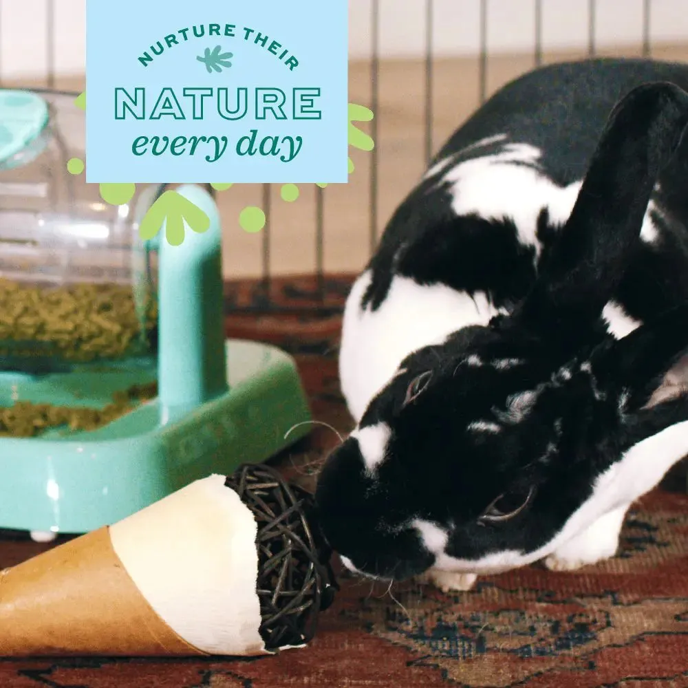 Oxbow Enriched Life Celebration Cone, Small Animal Toy