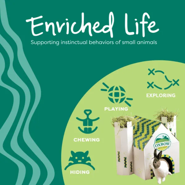 Oxbow Enriched Life Celebration Cone, Small Animal Toy
