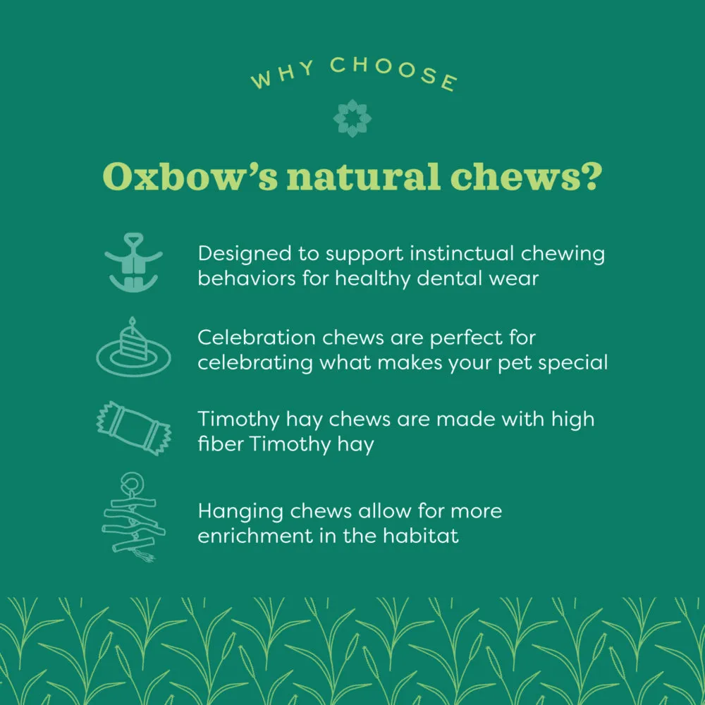 Oxbow Enriched Life Celebration Cone, Small Animal Toy