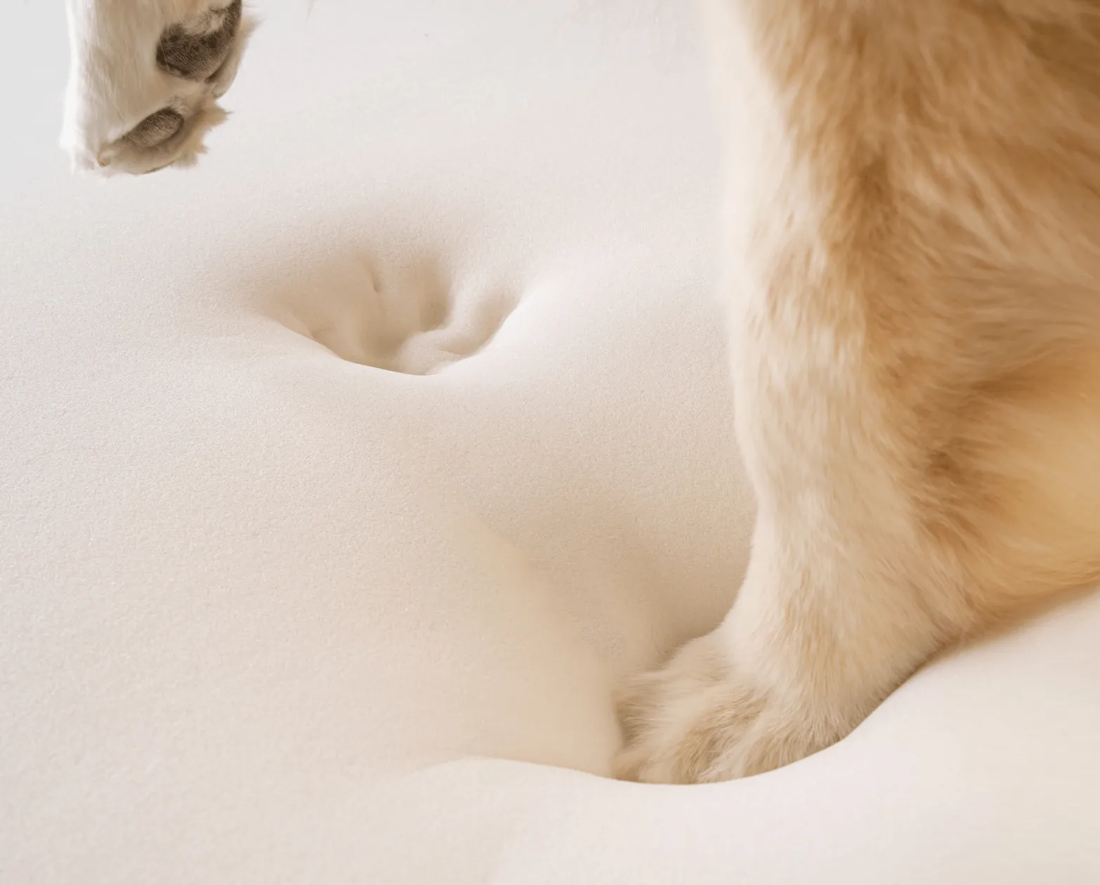 Paw.com x BarkBox PupRug™ Faux Fur Orthopedic Dog Bed - White with Brown Accents