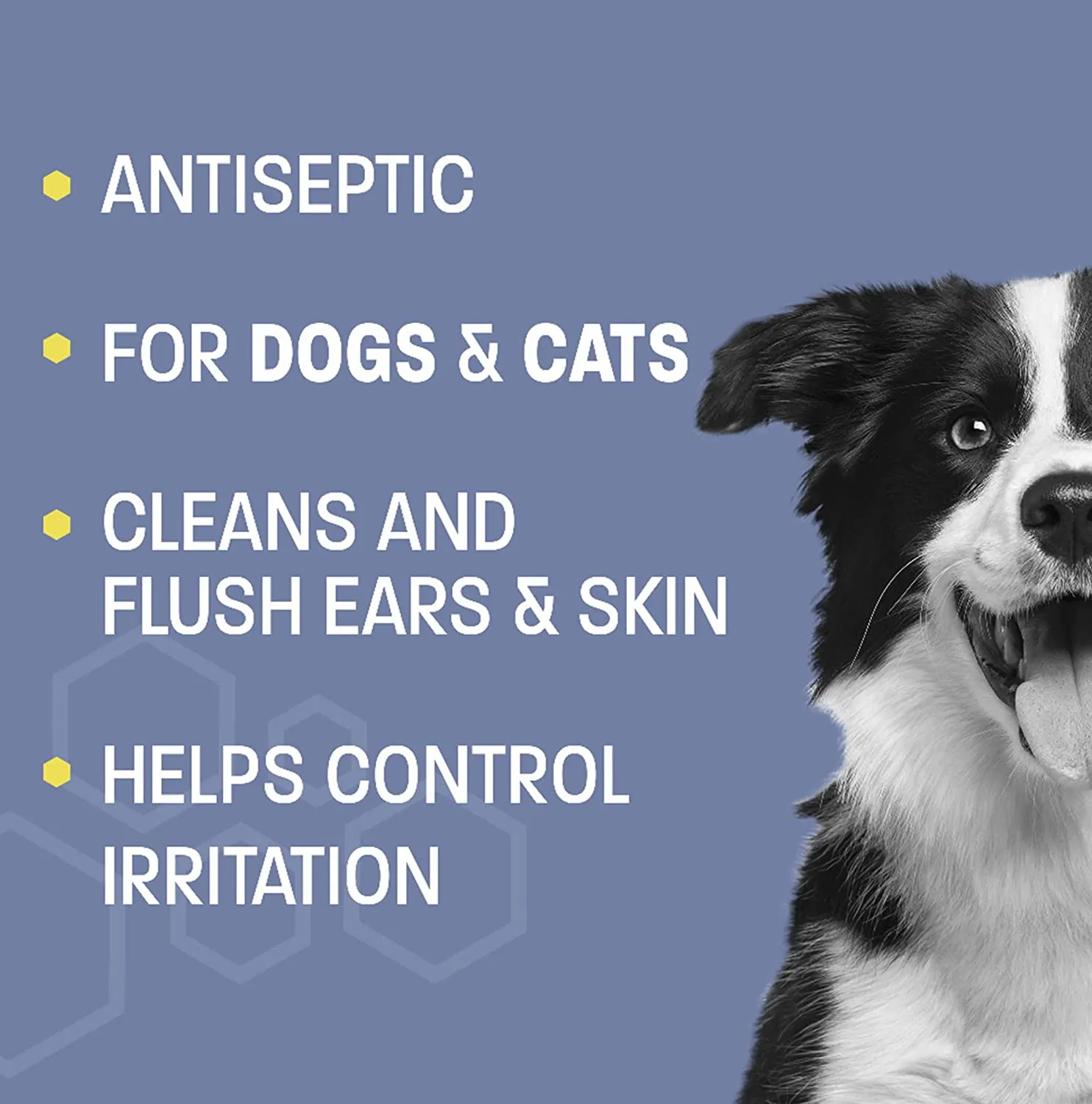 Pet Health Pros Dog and Cat Ear Cleaner; Sanitizing; Anti Itch; Easy to Use; 12 oz; Clear