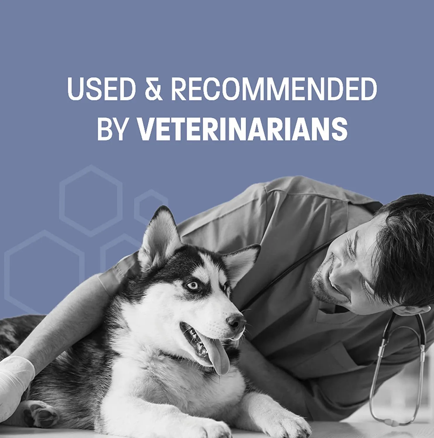 Pet Health Pros Dog and Cat Ear Cleaner; Sanitizing; Anti Itch; Easy to Use; 12 oz; Clear