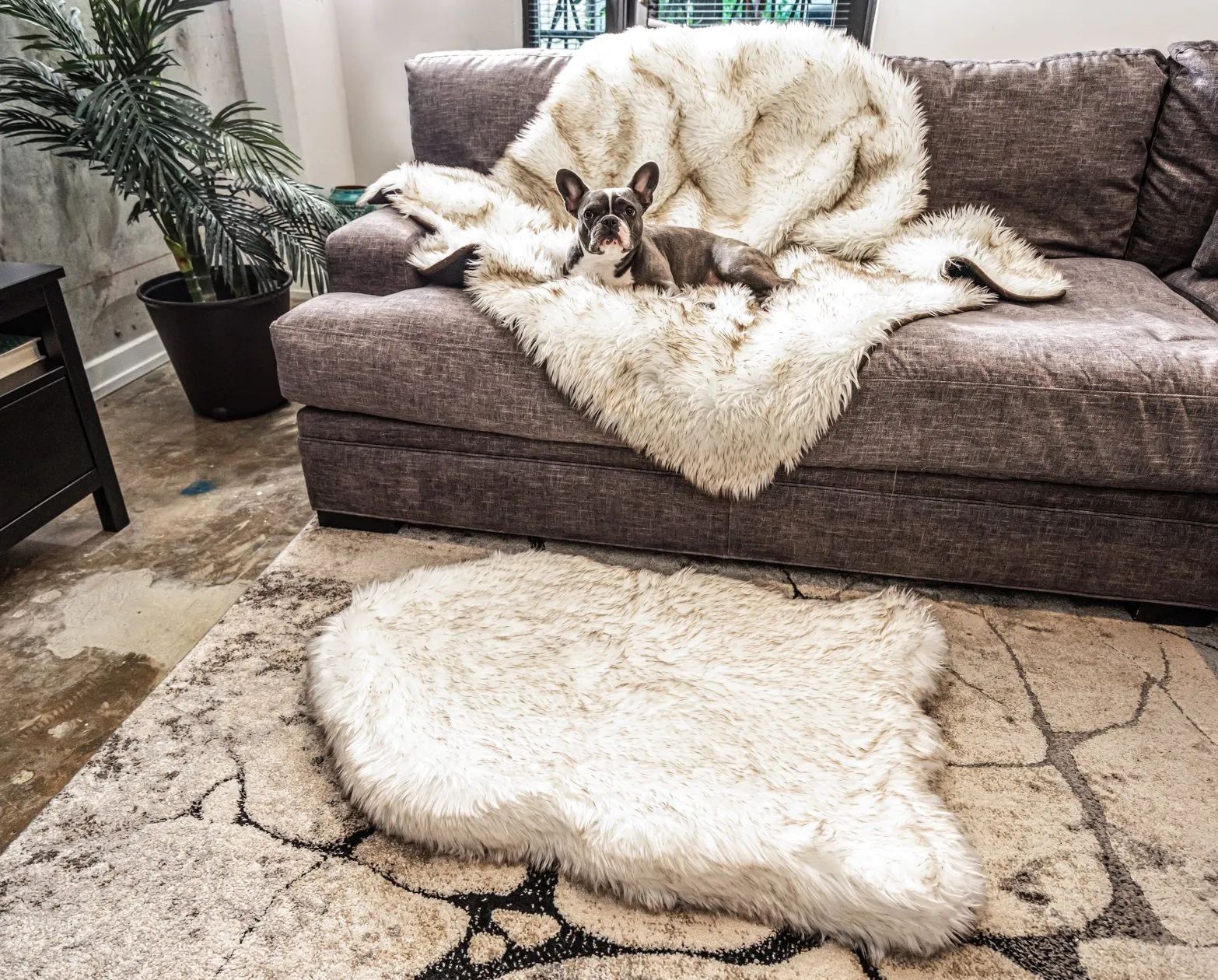 PupRug™ Orthopedic Bed   Matching Waterproof Blanket Bundle - White with Brown Accents