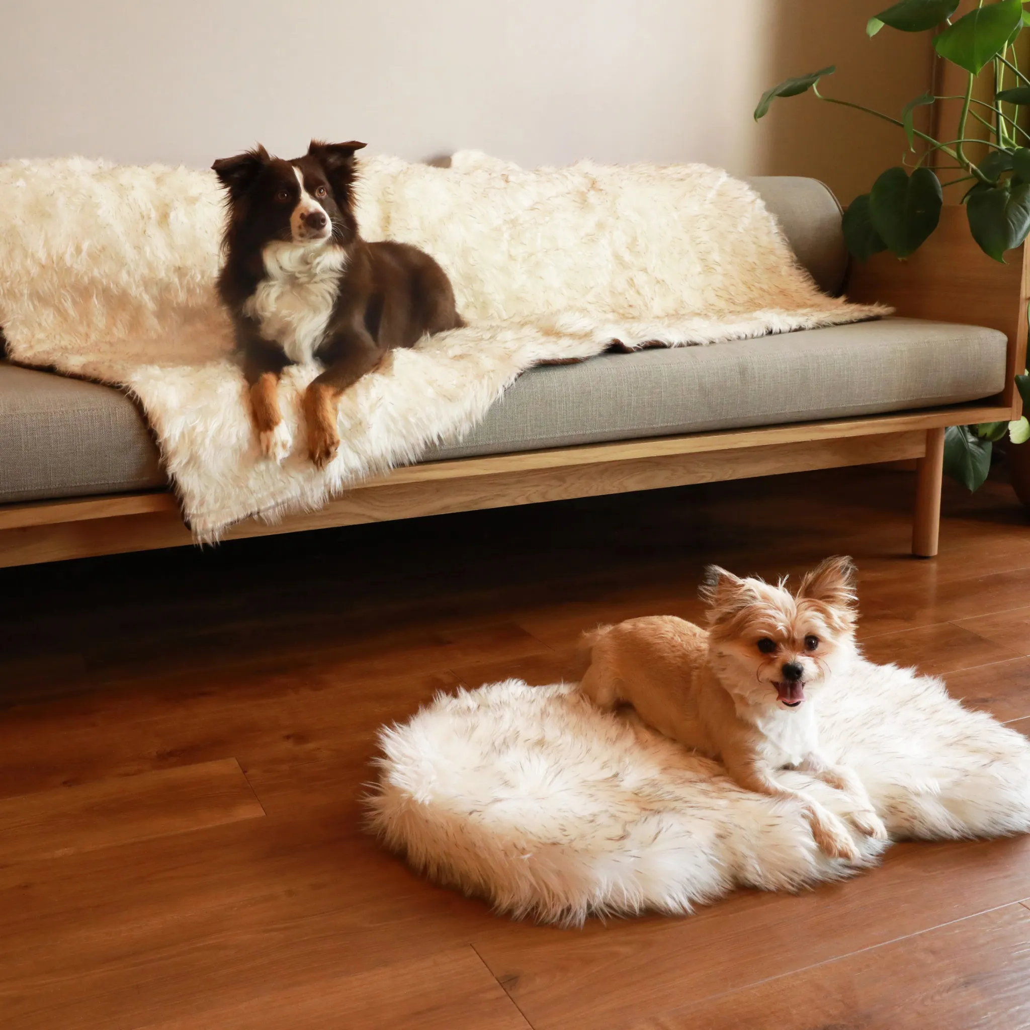 PupRug™ Orthopedic Bed   Matching Waterproof Blanket Bundle - White with Brown Accents
