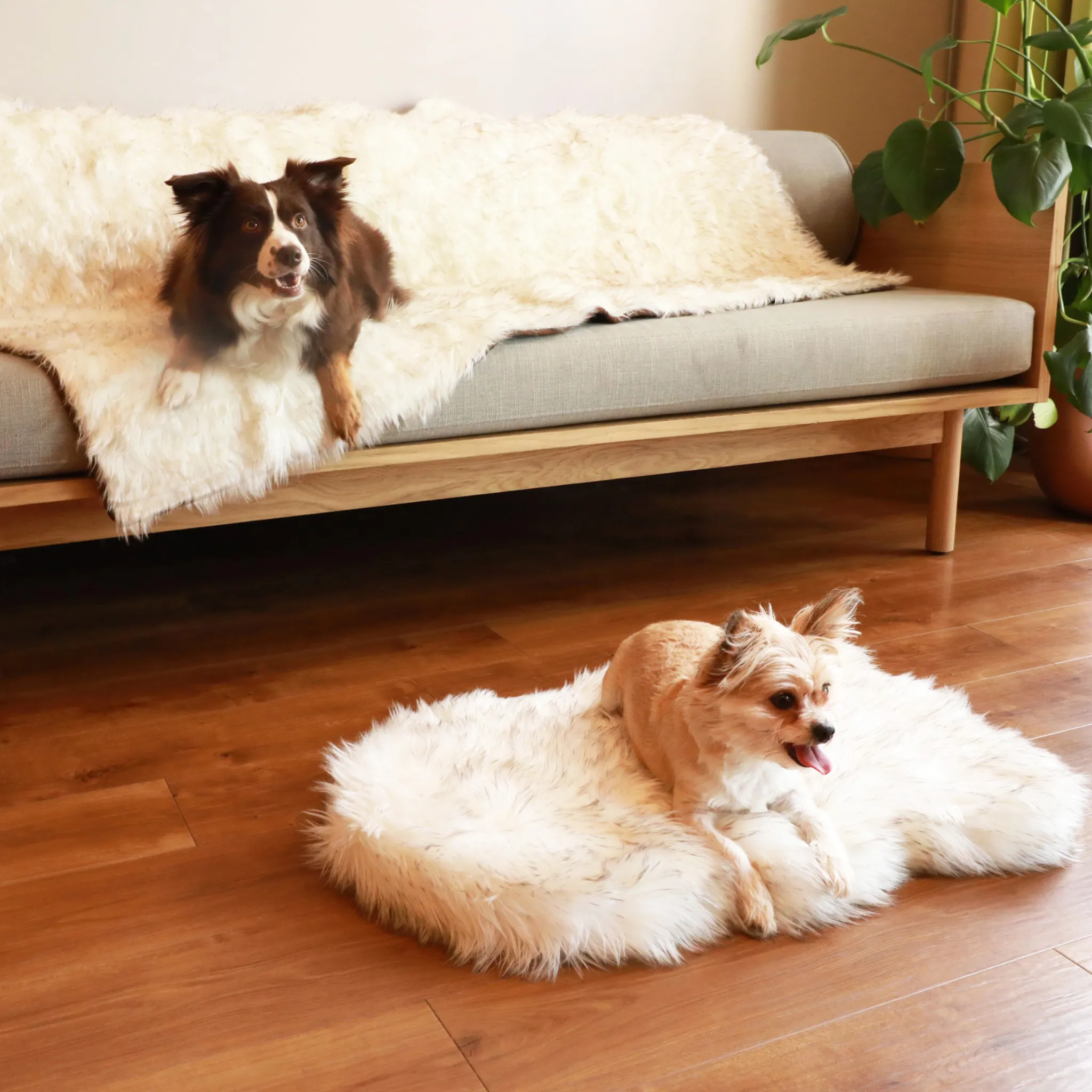 PupRug™ Orthopedic Bed   Matching Waterproof Blanket Bundle - White with Brown Accents