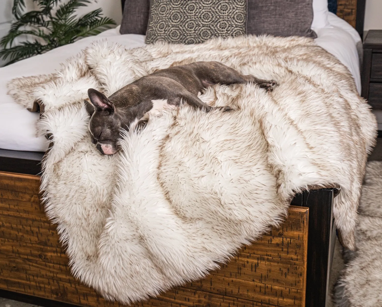 PupRug™ Orthopedic Bed   Matching Waterproof Blanket Bundle - White with Brown Accents
