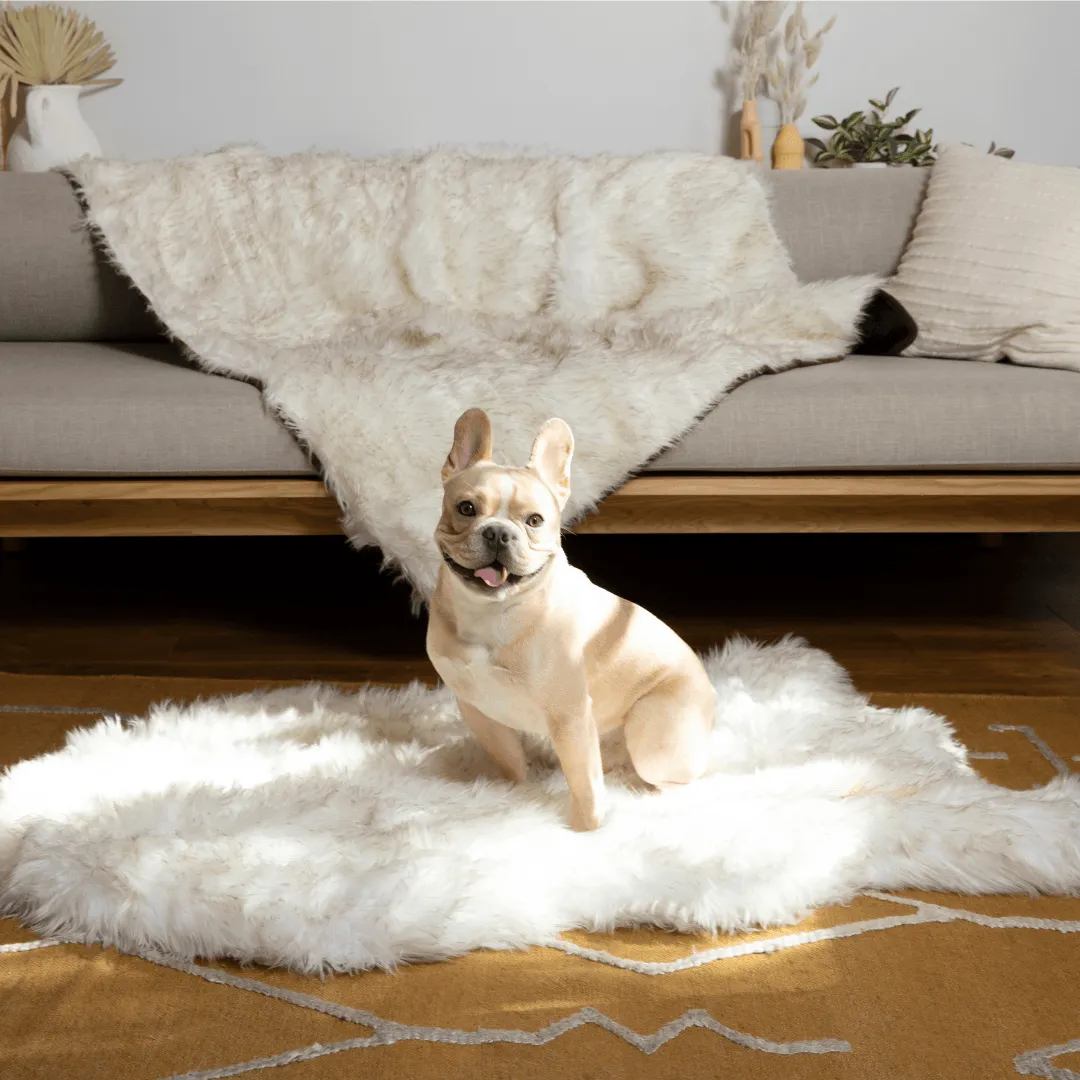 PupRug™ Orthopedic Bed   Matching Waterproof Blanket Bundle - White with Brown Accents