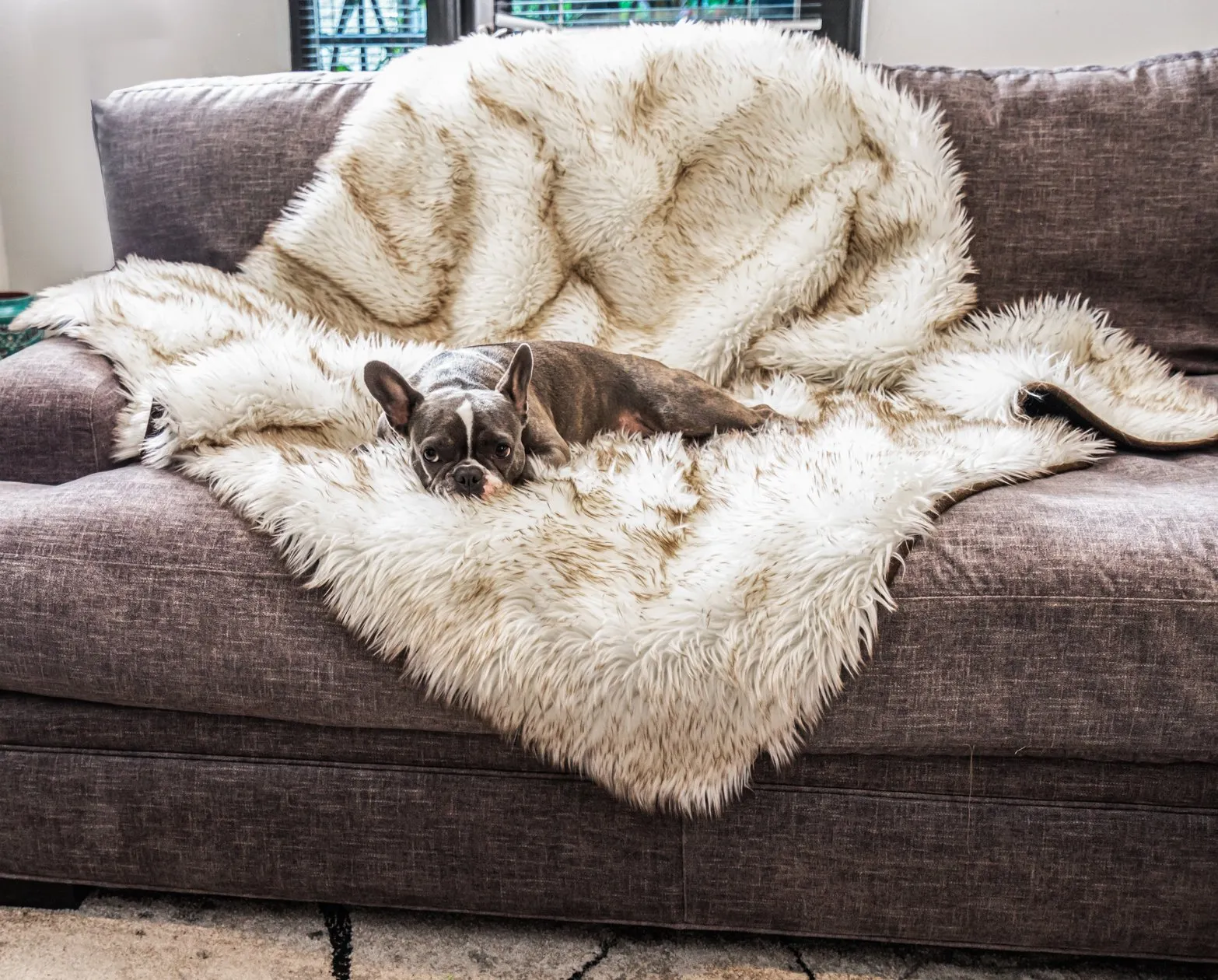 PupRug™ Orthopedic Bed   Matching Waterproof Blanket Bundle - White with Brown Accents
