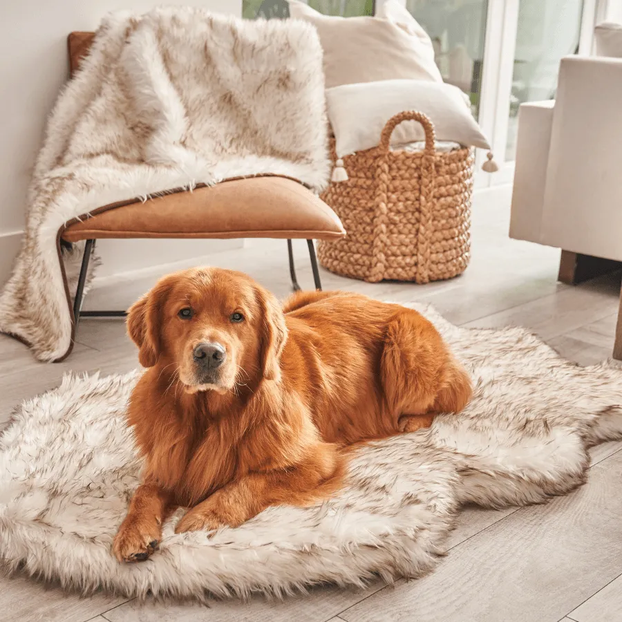 PupRug™ Orthopedic Bed   Matching Waterproof Blanket Bundle - White with Brown Accents