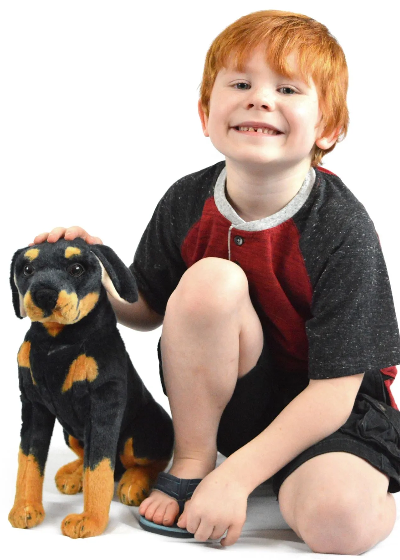 Rodolf The Rottweiler | 15 Inch Stuffed Animal Plush | By TigerHart Toys
