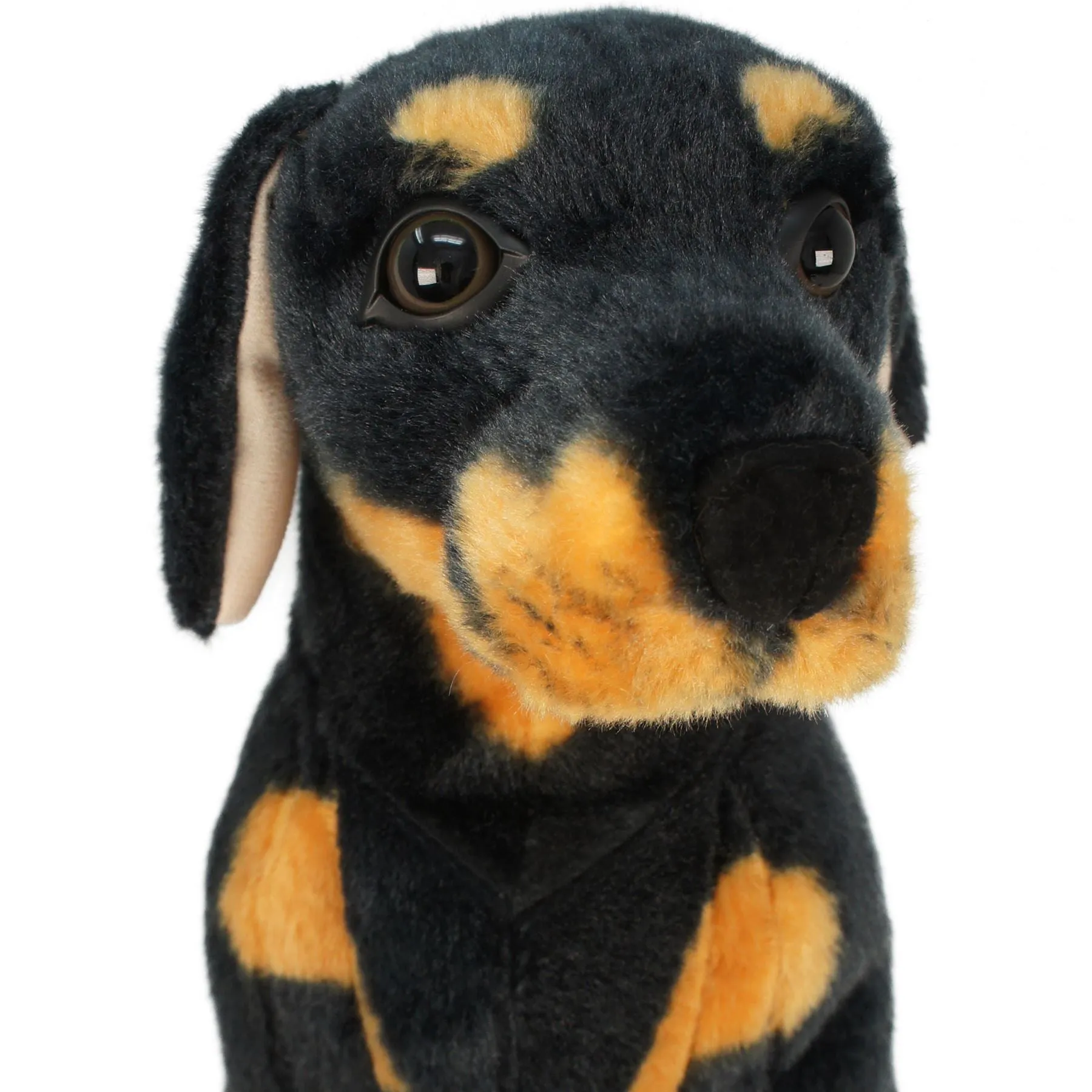 Rodolf The Rottweiler | 15 Inch Stuffed Animal Plush | By TigerHart Toys