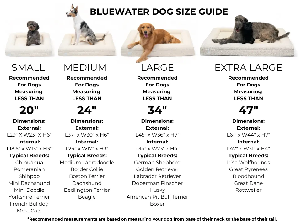 Small Luxury Essential Orthopedic Bluewater Dog Bed (Gray)