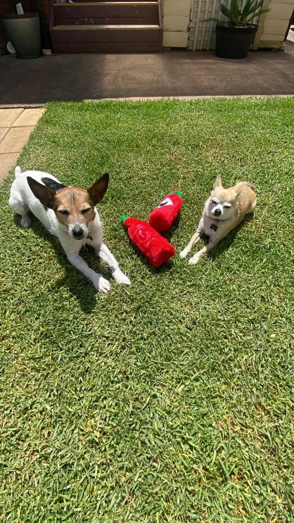 Zippy Paws Hot Sauce Chew Toy
